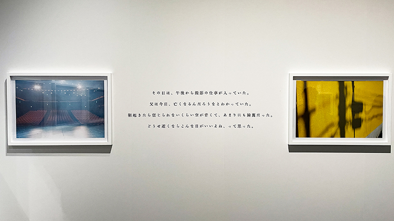 スフマート　Sfumart　取材レポート　上野の森美術館　蜷川実花展―虚構と現実の間に―
