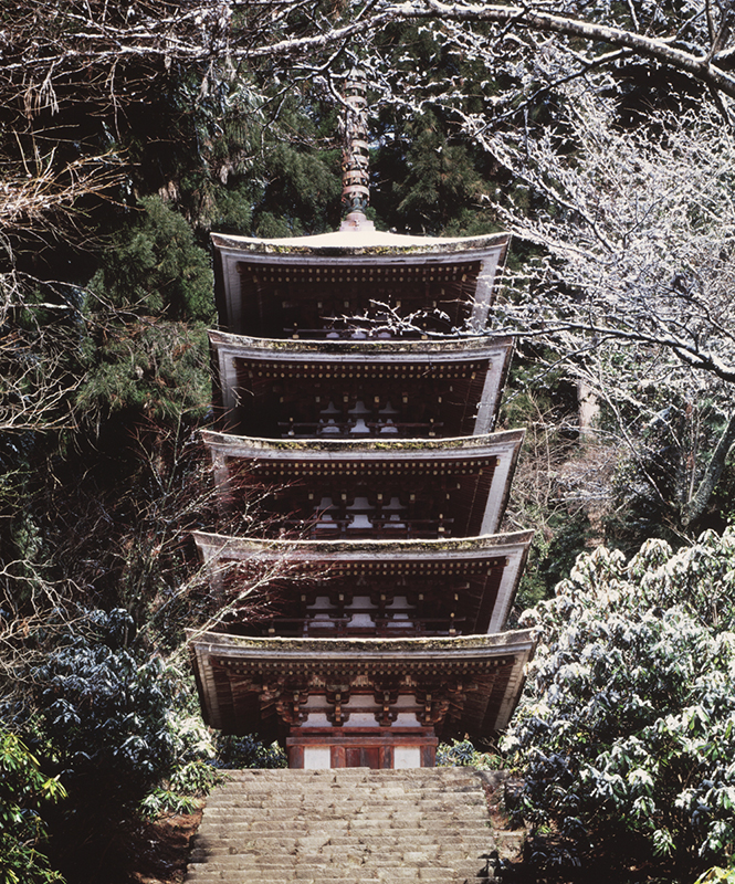 写真展「古寺巡礼―土門拳が切り取った時間―」 - Sfumart