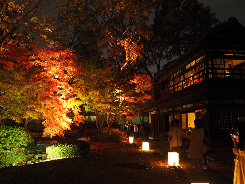 秋の夜長はたてもの園で過ごそう！11月25日・26日に夜間特別開園を実施【江戸東京たてもの園】