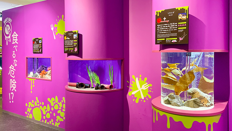 生き物たちの「毒」をテーマとした人気特別展の最終章が開催【サンシャイン水族館】