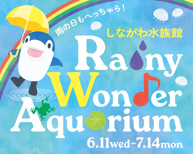 Rainy Wonder Aquarium