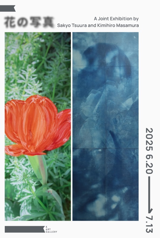 花の写真