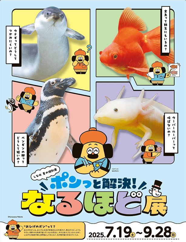 ポンっと解決！なるほど展