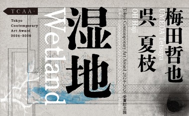 Tokyo Contemporary Art Award 2024-2026 受賞記念展「湿地」