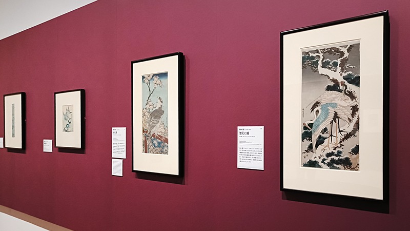 北斎・広重・若冲も！海を渡った花鳥版画の至宝、35年ぶりに里帰り【千葉市美術館】