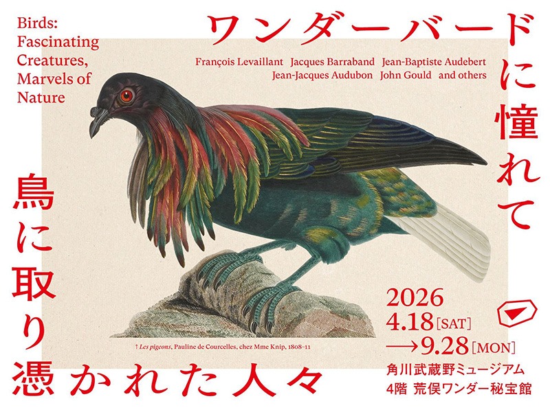 ワンダーバードに憧れて　鳥に取り憑かれた人々