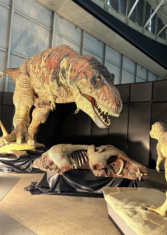 【体験レポ】ヨコハマ恐竜展2026に行ってきた!見どころ・所要時間・楽しみ方を紹介