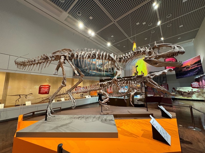 恐竜だけじゃない!大阪「大絶滅展」で地球46億年の歴史を体感