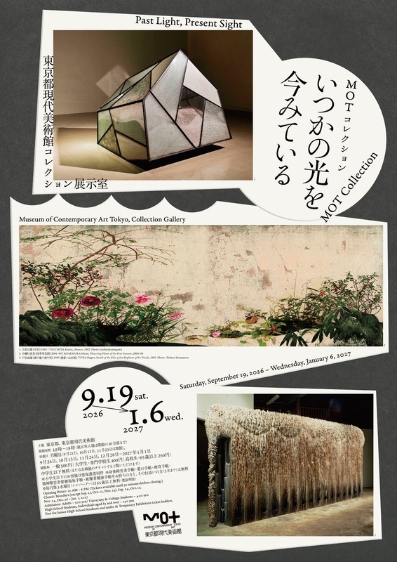 いつかの光を今みている