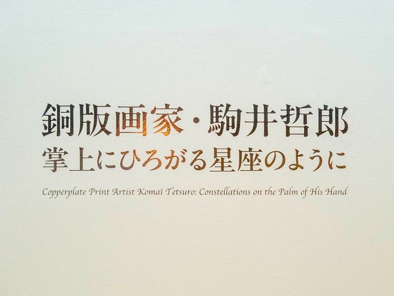 駒井哲郎展を取材!見どころや銅版画の魅力を紹介【神奈川県立近代美術館 葉山】