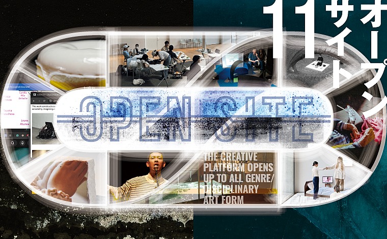 OPEN SITE 11
