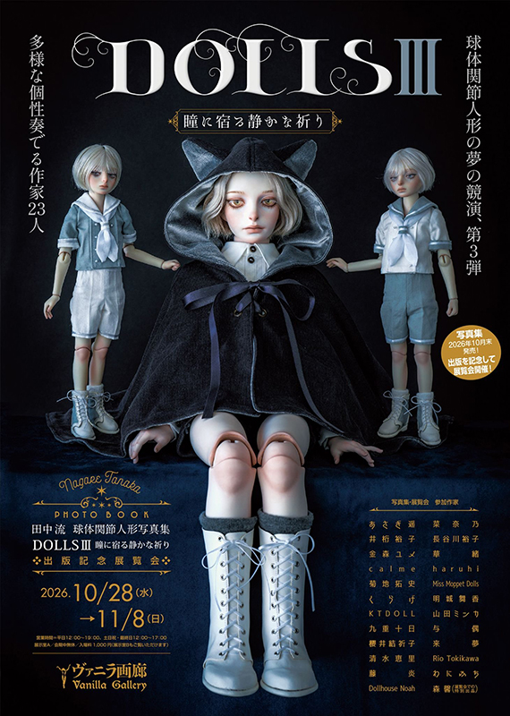 DOLLSⅢ-瞳に宿る静かな祈り-
